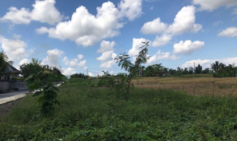 Freehold Land in Ubud